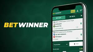 Comprehensive Guide to Sports Betting on BetWinner